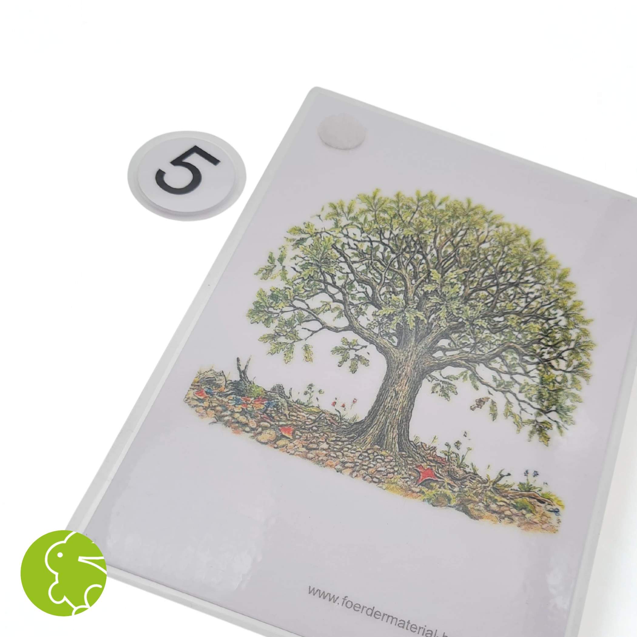 Bilderfolge "Ein Baum wächst"