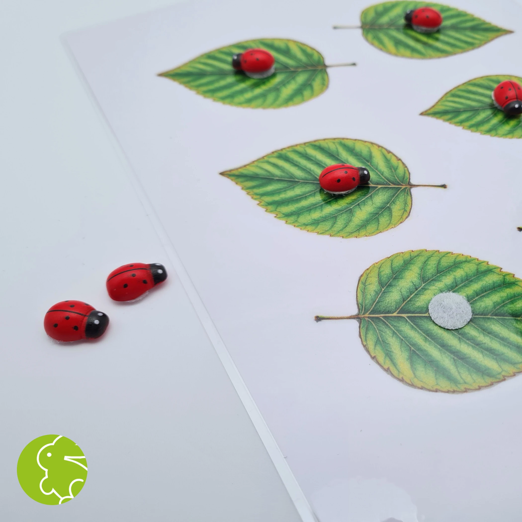 Marienkäfer - Blatt