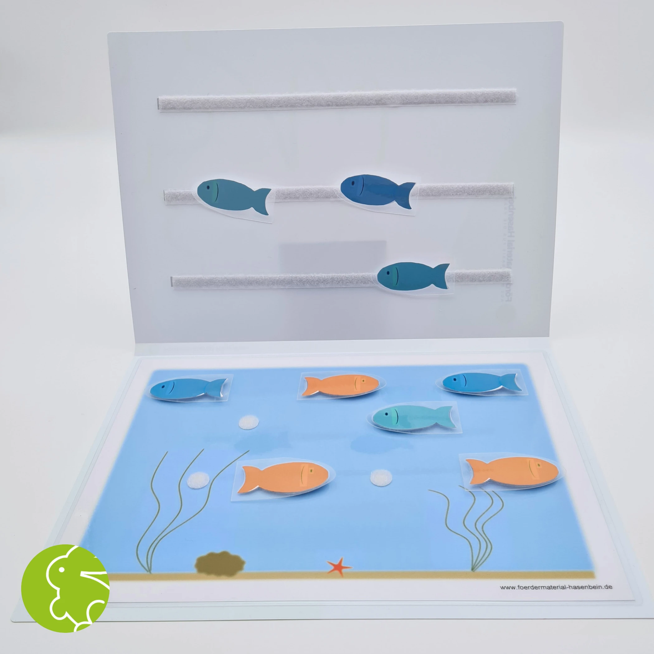 Mappe 2 Aquarium