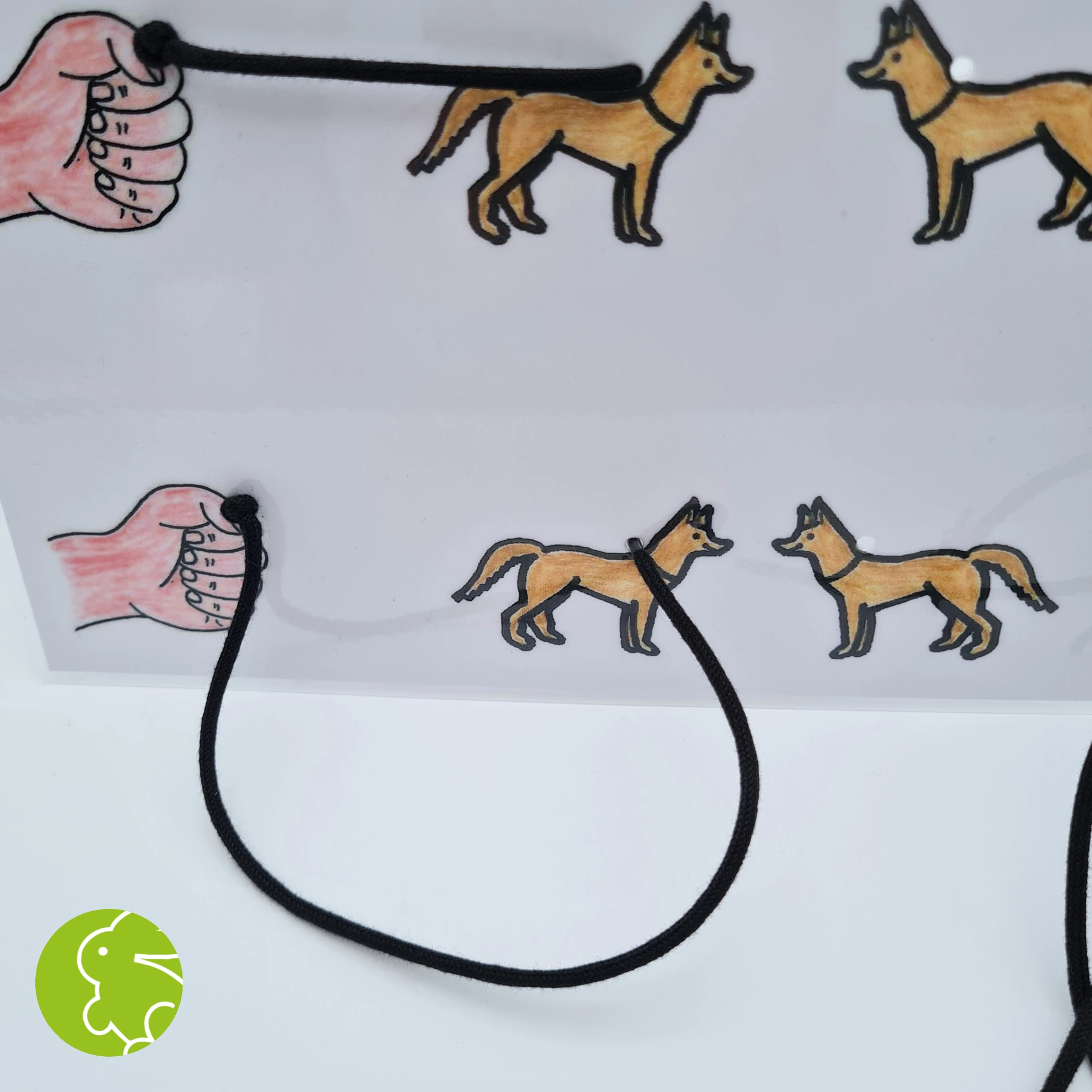Hund - Hundeleine