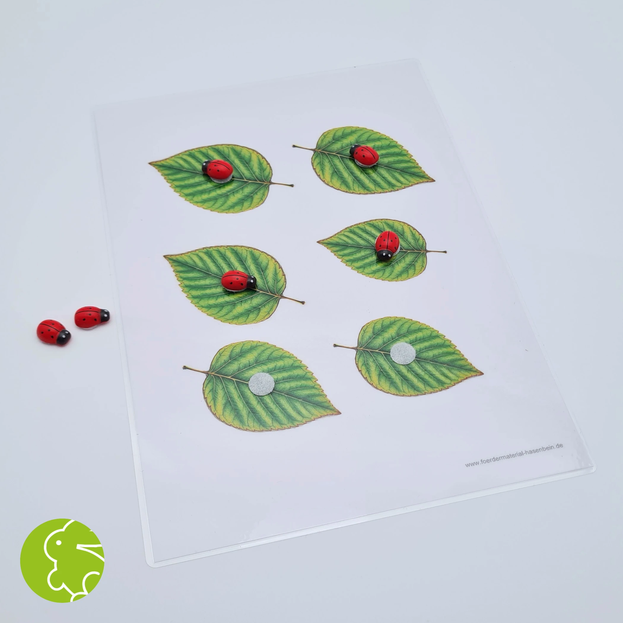 Marienkäfer - Blatt